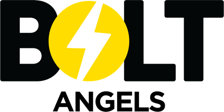 Bolt Angles Logo
