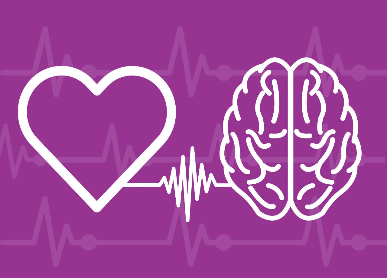 Heart and brain illustration